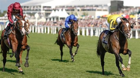 betting tips 4 you|Horse Racing Tips .